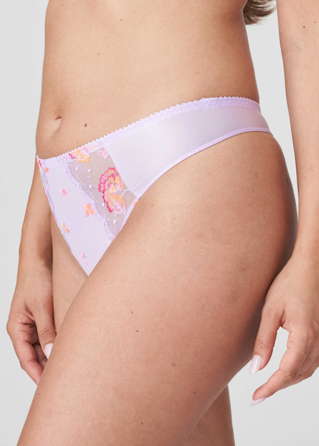 String Prima Donna
