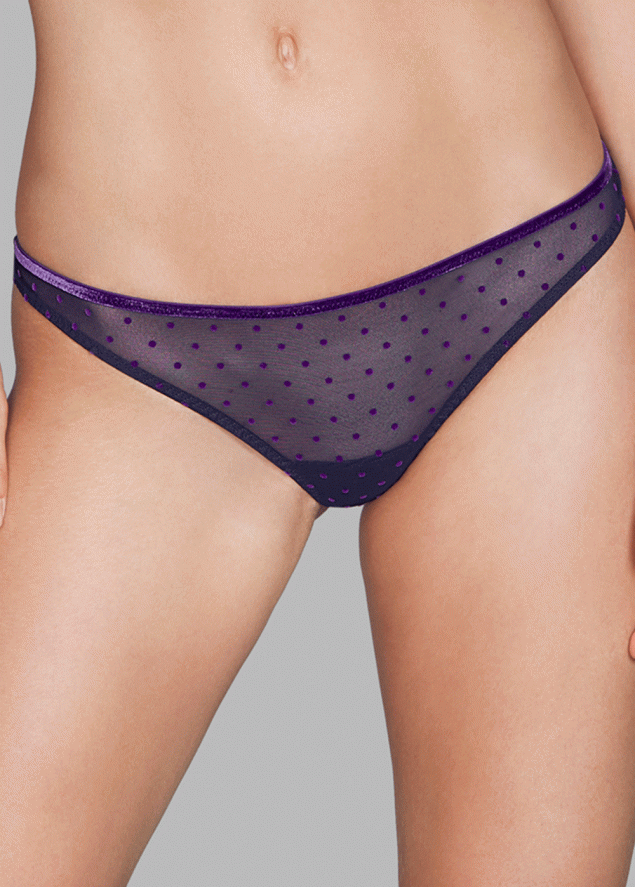 String Andres Sarda