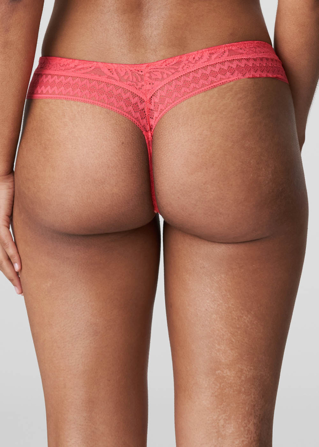 String Twist de Prima Donna