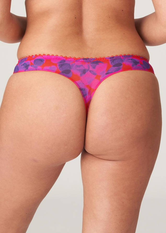 String Twist de Prima Donna