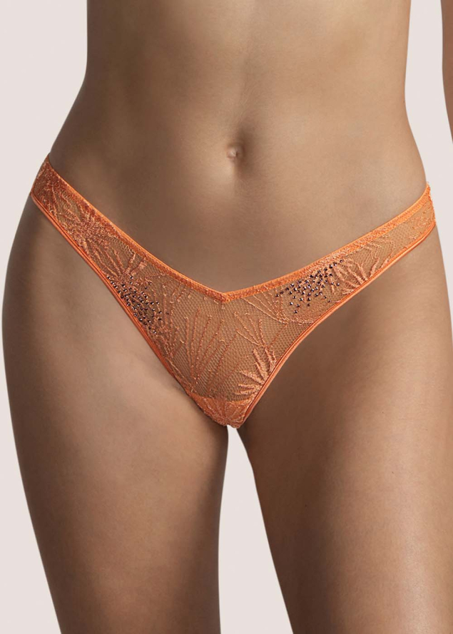 String Andres Sarda