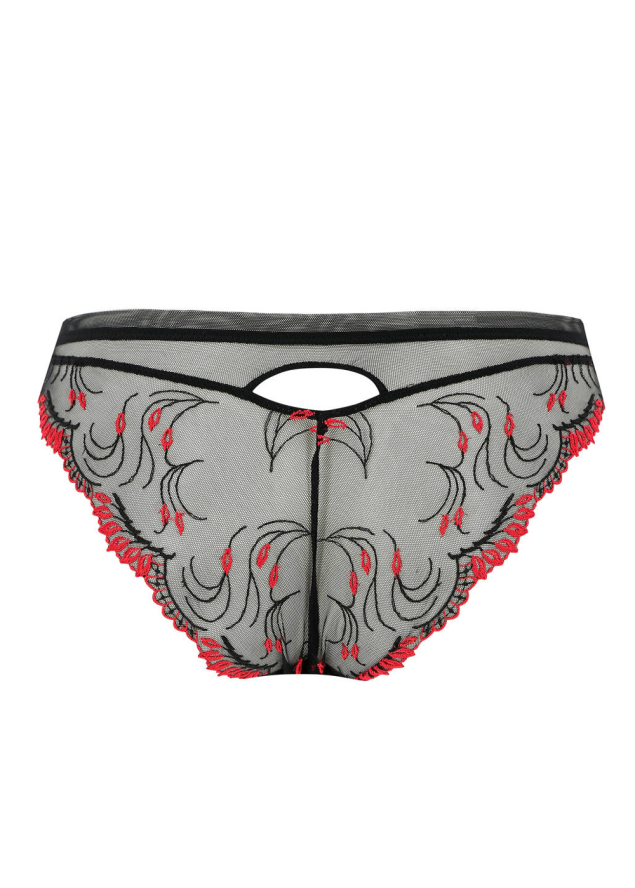 Slip Sduction Lise Charmel