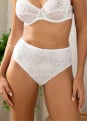 Slip Taille Haute 
