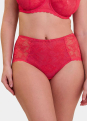 Culotte 