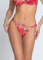 String fantaisie 
