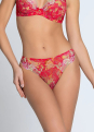 Culotte 
