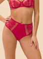 Culotte Taille Haute  