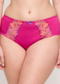 Slip Taille Haute 