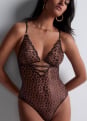 Body 