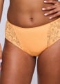 Slip Taille Haute 